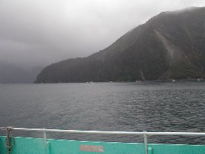 Kenai Fjords cruise