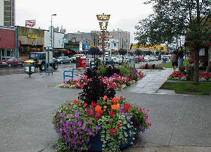 Anchorage flowers